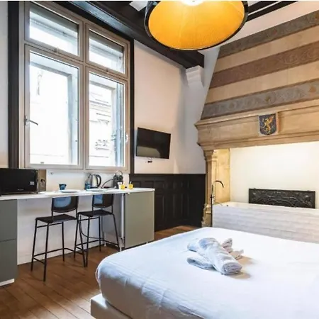 Fire, Vue Cathedrale Apartment Reims