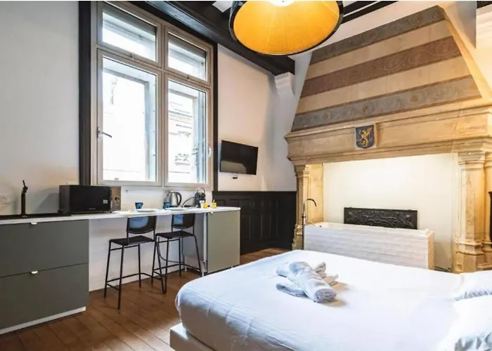 Fire, Vue Cathedrale Apartman Reims